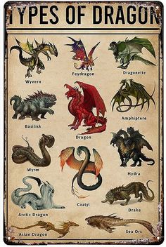 a poster with different types of dragon on it's sides and the names in each