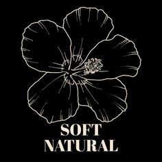 A line art drawing of a hibiscus against a dark background with the words "Soft Natural" written underneath it. Soft Natural Body Type, Soft Natural Body, Natural Body Type, Sn Kibbe, Natural Kibbe, Type Inspiration, Soft Autumn, Spring Nature, Soft Natural