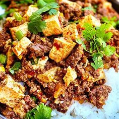 tofu and rice with cilantro on a plate