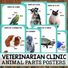 the veterinaian clinic animal parts posters are displayed on a wooden background with text