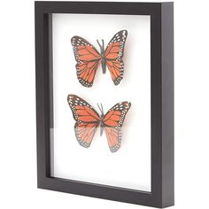 Your memories deserve the solid protection and stylish look of our real wood shadow box display frames. Our durable shadowbox showcases have hardwood frame rails and back, real glass and metal sawtooth hangers to ensure your crafts, tickets, programs, diplomas, medals and collectibles are safe and protected when on display. The stylish, black wooden frame and real glass of our rectangular shadow box is the perfect backdrop to showcase concert tickets, collectible magazines, memorabilia, CDs and Seashell Display, Shadow Box Display Case, Wooden Shadow Box, Diy Shadow Box, Display Frames, Diy Display, Wood Shadow Box, Box Display, Picture Frame Sets