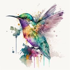 a watercolor painting of a hummingbird with colorful paint splatters on it's wings