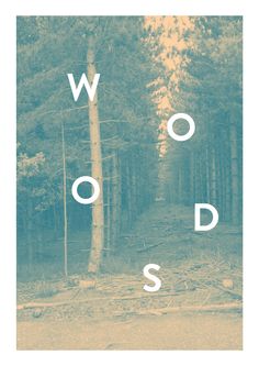 the words woods are displayed in front of trees