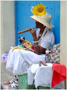 Cuban cigar in Havana Havana Brown Cat, Siamese Kitty, Cuban Art, Good Cigars, Pipes And Cigars, Mode Boho