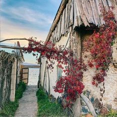 an old building with vines growing on the side of it and water in the background