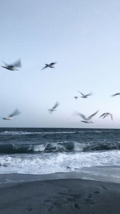 a flock of birds flying over the ocean