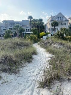 a sandy path leading to houses on the beach