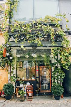 an outdoor cafe with potted plants on the outside