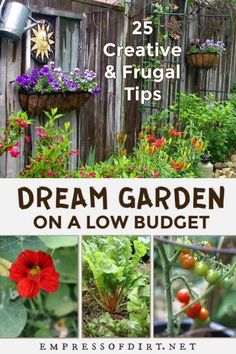 the cover of 25 creative and frugal tips on a low budget garden