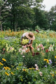 a person picking flowers in a field