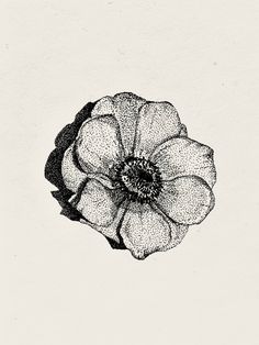 Stipple effect flower / Pointillism effect illustration Flower Stippling Art, High Contrast Pointillism Tattoo, Stippling Art Flowers, Pointilism Tattoos Design, Stippling Drawing Artworks, Stipple Tattoo Design, Pointalism Tattoos, Flower Stippling