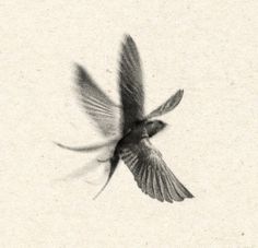 a black and white photo of a bird flying