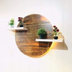 three potted plants sitting on top of shelves in a circle shaped wall mounted shelf