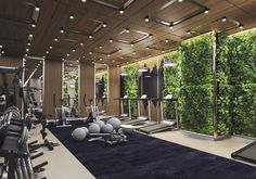 an indoor gym with exercise equipment and plants on the wall