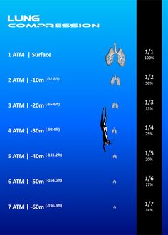 an image of the lungs and their corresponding breathings in blue water with text below