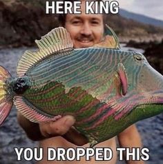 a man holding up a colorful fish with caption that reads, here king you dropped this