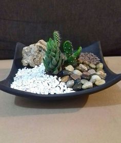 there is a plate with rocks and plants on it