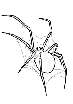 a black and white drawing of a spider