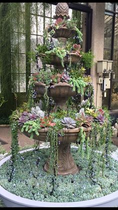 an outdoor fountain with plants growing on it