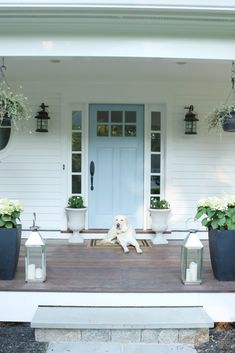 a dog sitting on the front porch of a house with potted plants and candles