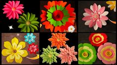 paper flowers are arranged in different colors and sizes