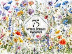 watercolor flowers with the number 75 on it