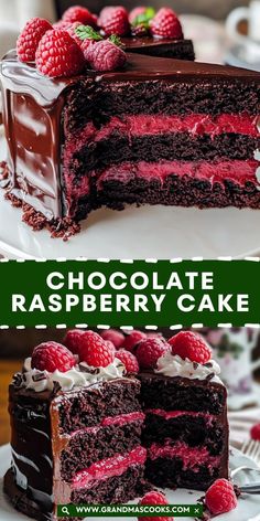 chocolate raspberry cake with fresh raspberries on top