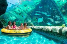 three girls are riding on an inflatable raft at the aquarium