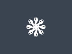 a white snowflake on a black background