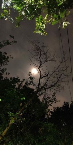 the moon shines brightly through the clouds in the night sky above trees and power lines