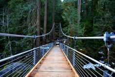 a wooden suspension bridge over a river surrounded by trees