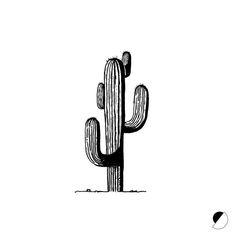 a black and white drawing of a cactus