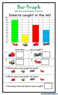 an insect graph worksheet to help students learn how to find the correct numbers