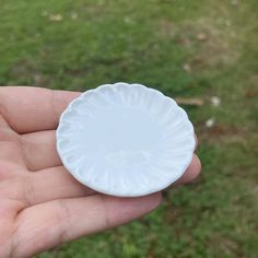 a person is holding a small white plate in their left hand, on the grass