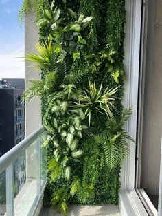 an indoor plant wall on the side of a building