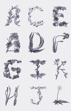 various flowers and leaves are drawn in black ink on white paper with the letter e