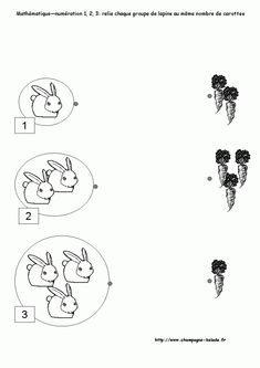 the worksheet shows how to draw rabbits and carrots in different stages of development