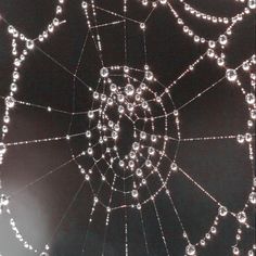 a spider web covered in water droplets on a black background with the center surrounded by smaller bubbles