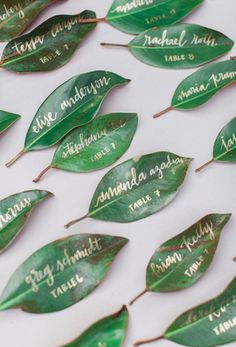 some green leaves that are on top of a white surface and the words hi miss puff written in cursive writing