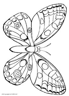 a black and white drawing of a butterfly