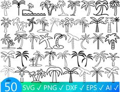 50 palm trees svg and dxf files