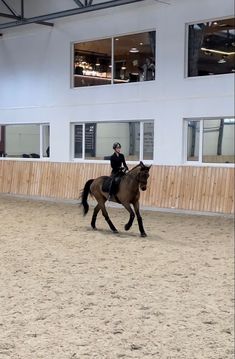 a woman riding on the back of a brown horse in an indoor arena with windows