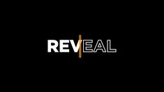 the word reveal is written in black and white on a dark background with a gold stripe