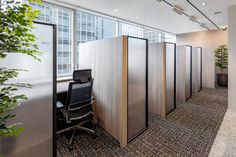 an office cubicle with four partitions and a plant in the corner next to it