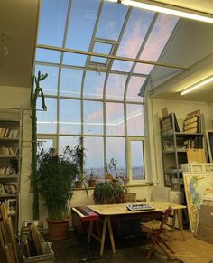 a room filled with lots of plants and bookshelves next to a large window