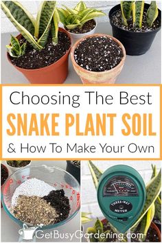 the best snake plant soil and how to make your own