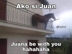 a horse standing on top of a balcony next to a building