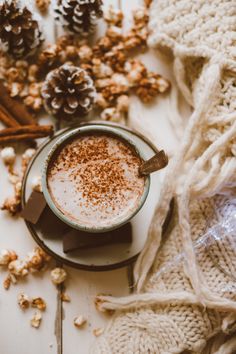 a cup of hot chocolate with cinnamon sprinkles and pine cones on the side