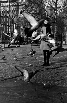 a black and white photo of birds flying in the air over a park with people