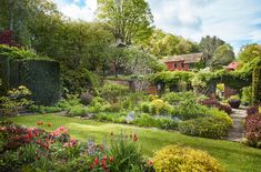 a lush green yard with lots of flowers and trees